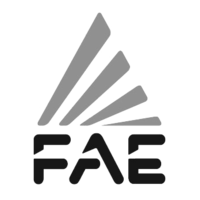 FAE Group Logo