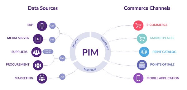 Infografica esplicativa PIM